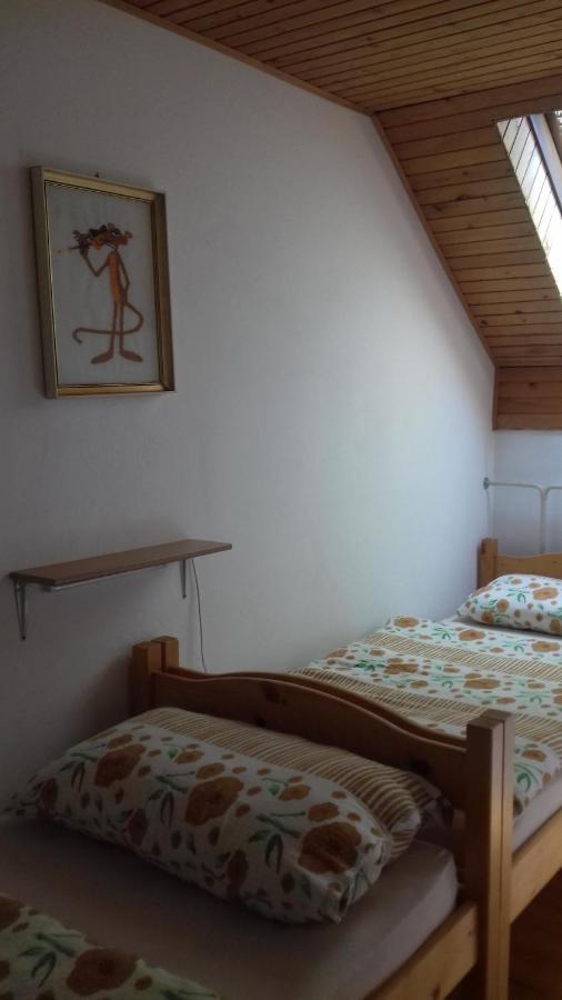 Apartma Podlogar Golica Triglav Leilighet Jesenice Eksteriør bilde