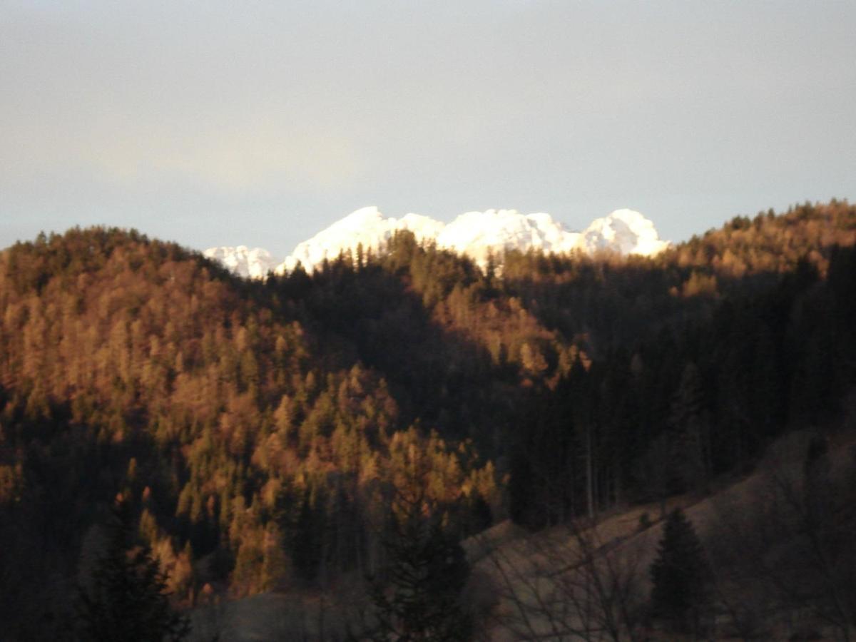 Apartma Podlogar Golica Triglav Leilighet Jesenice Eksteriør bilde